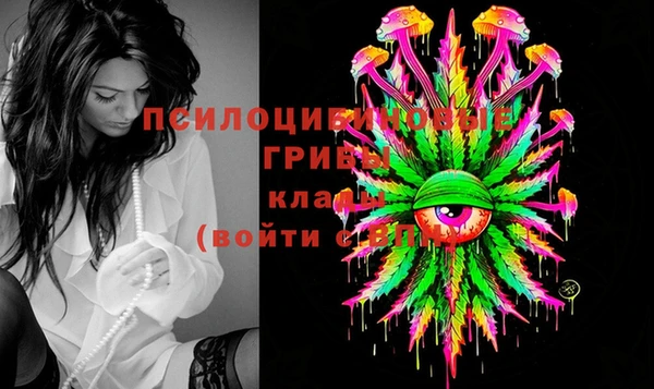 гидропоника Богородицк
