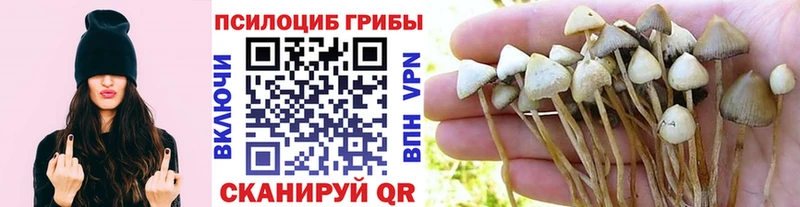Галлюциногенные грибы прущие грибы  blacksprut ссылка  Пионерский 